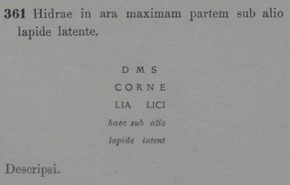 00361-copy