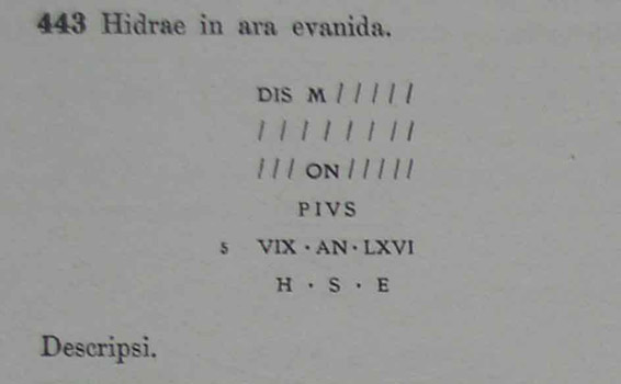 00443-copy