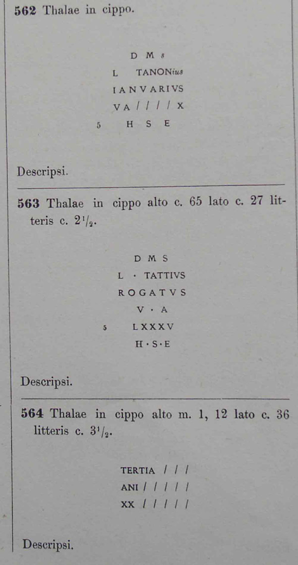 00564