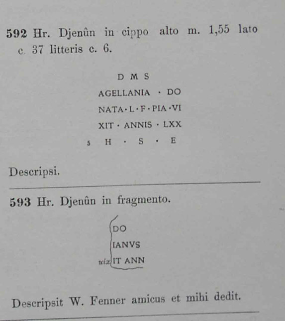 00593